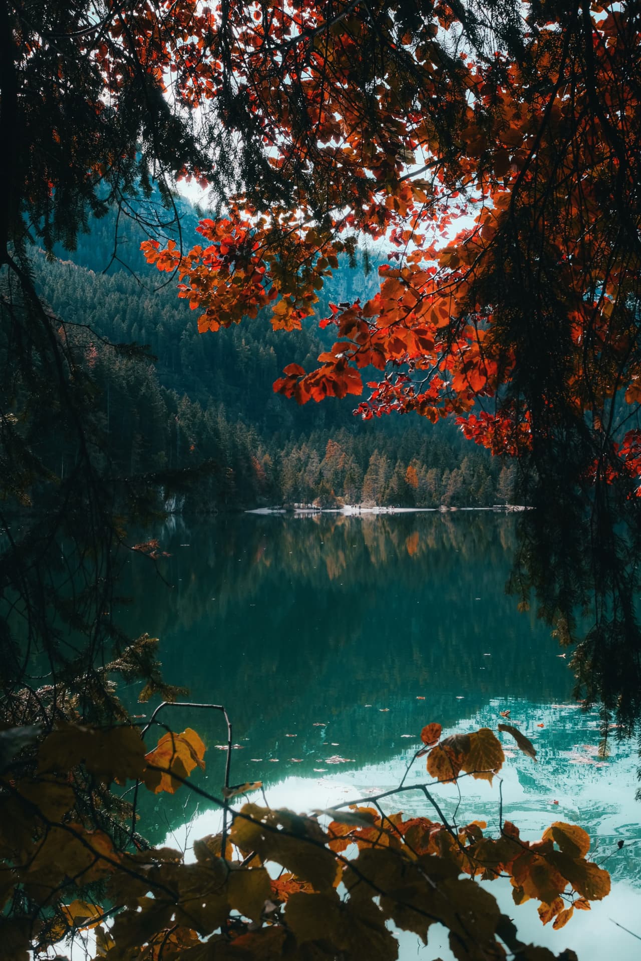 Lago sereno rodeado de floresta com folhagem de outono
